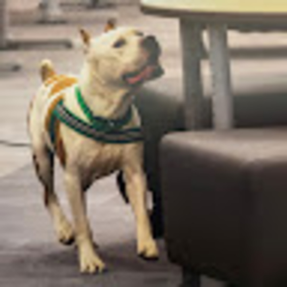 Meet your Posher, Heidi